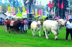 27164_expo-prado