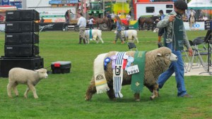 expo-prado-20150909133756338540