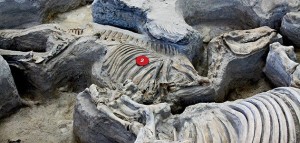 ob_c81301_evotourism-ashfall-fossil-beds-state-h
