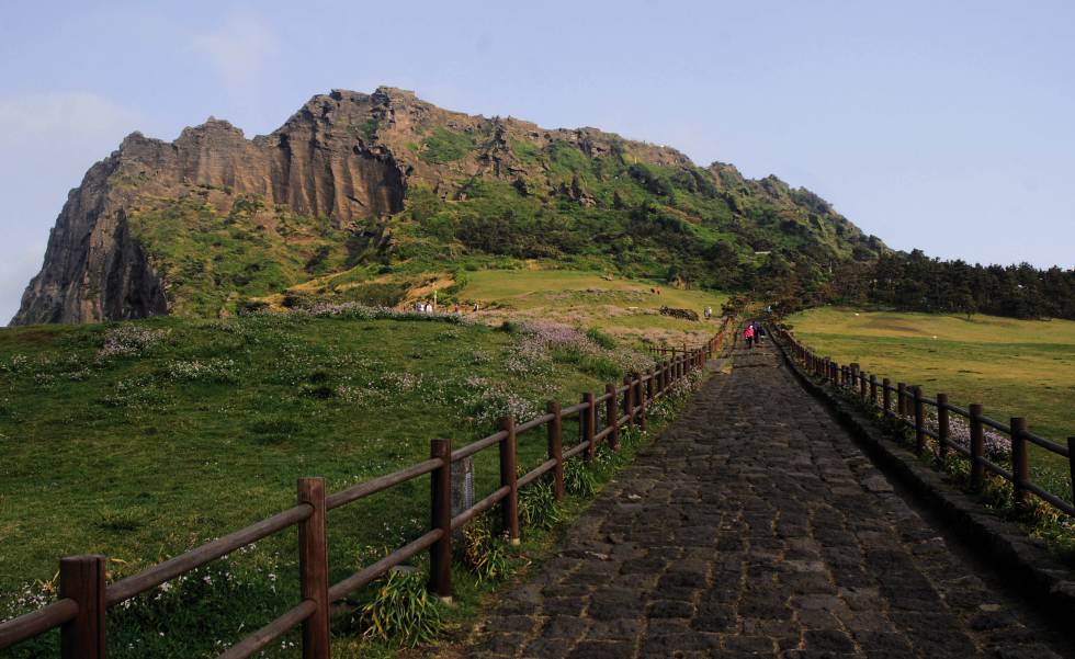 Sendero que conduce al inactivo volcán de Seongsan Ilchul-bong, en la isla de Jeju (Corea del Sur). MARK LIDDELL GETTY