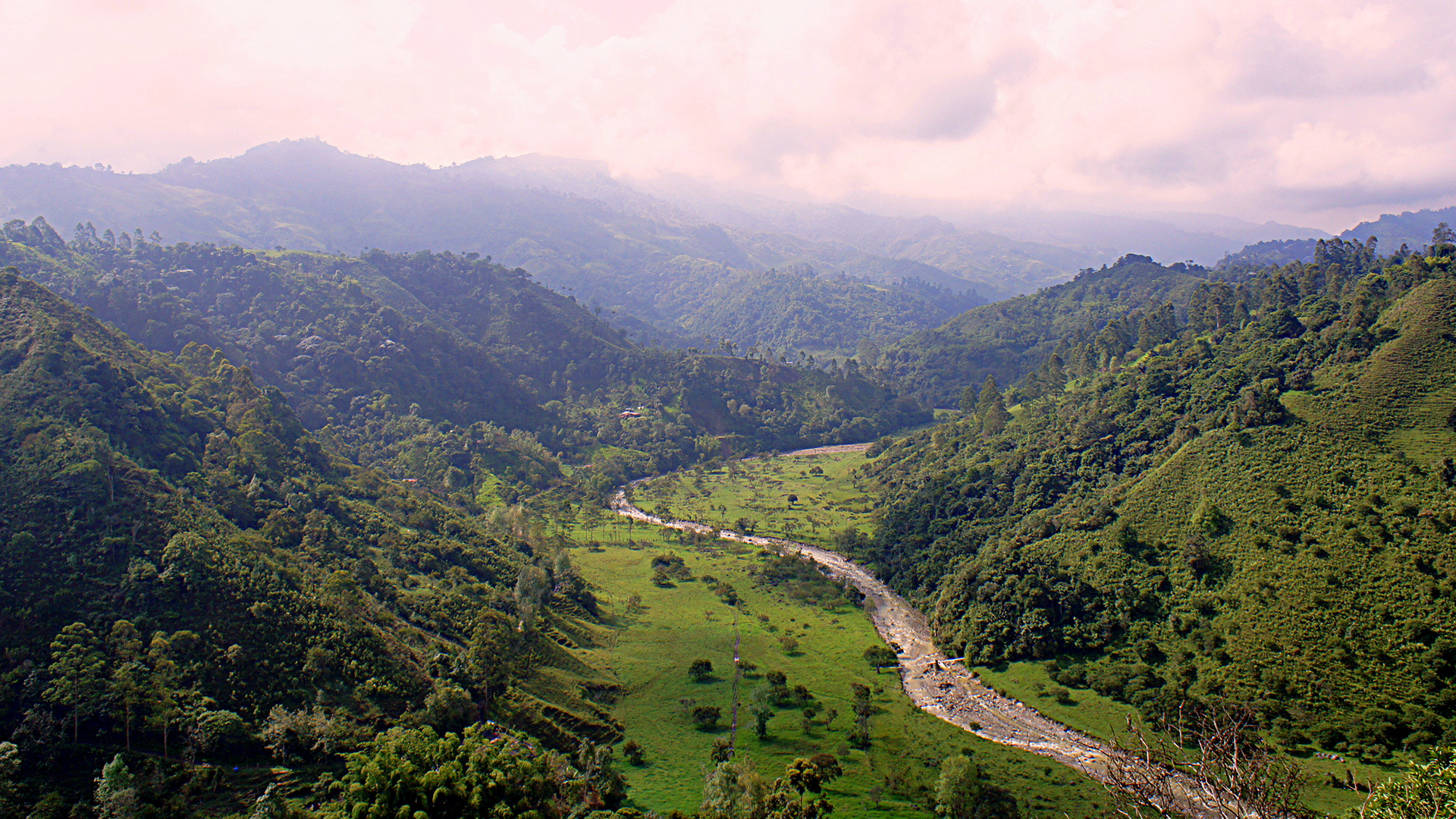 Colombia y sus valles cafeteros