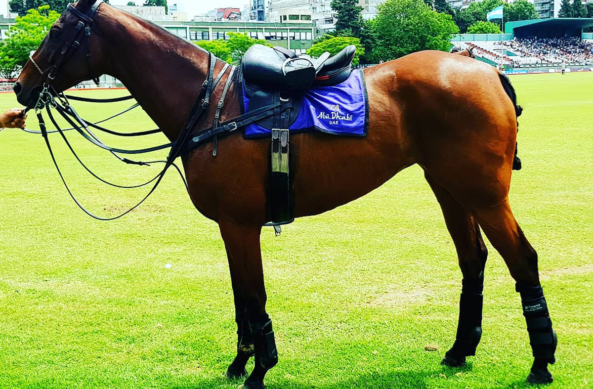 Polo en el Abierto, Copa Cancillería Acercando Naciones