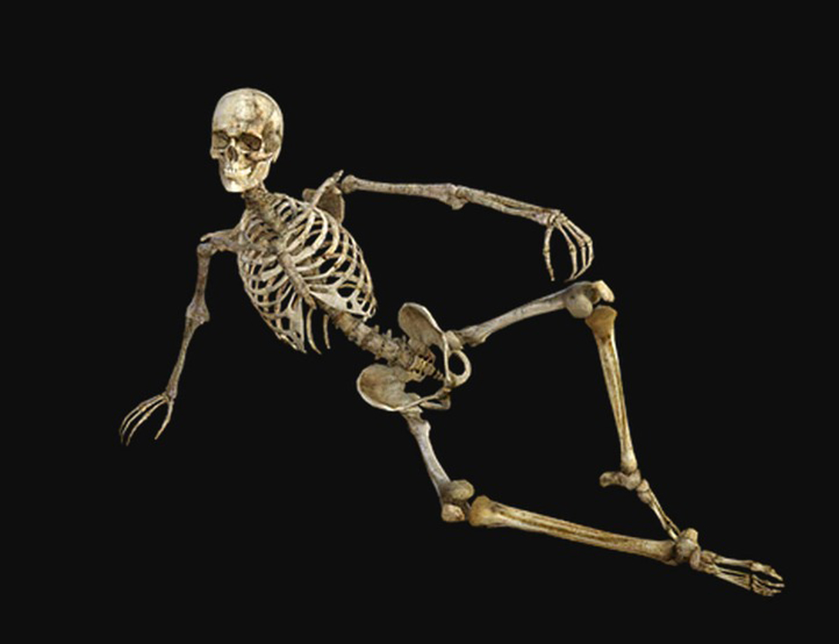 El coxis, la última pieza ósea de la columna vertebral, es uno de nuestros vestigios evolutivos. (Foto: Pixabay)
