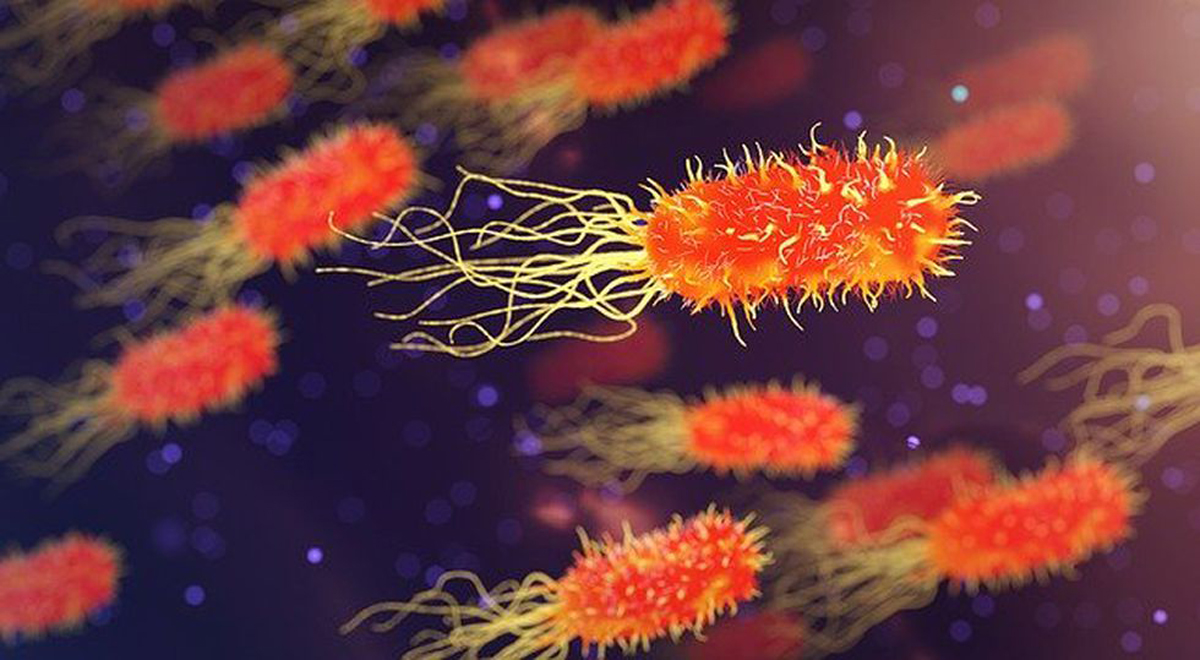 Ilustración de bacterias en el colon. Las células humanas componen solamente el 43% de nuestro cuerpo. (Foto: Pixabay)