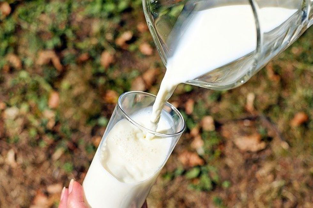 En regiones de larga tradición de producción de lácteos, como Europa, la población es mucho más tolerante a la lactosa que en Asia. (Foto: Pixabay)