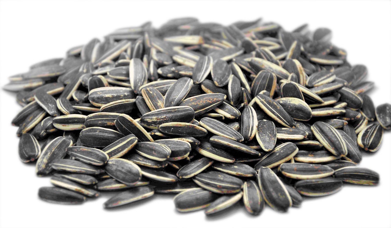 Las semillas de girasol aportan vitamina A, vitaminas del grupo B, vitamina E, poseen calcio, fósforo, hierandodio.