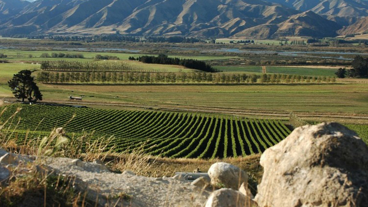 Nueva Zelanda la nueva región del