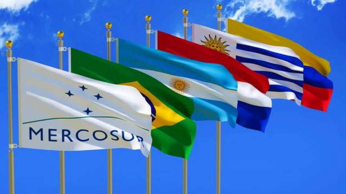 Mercosur Y La Integración De Argentina Acercando Naciones