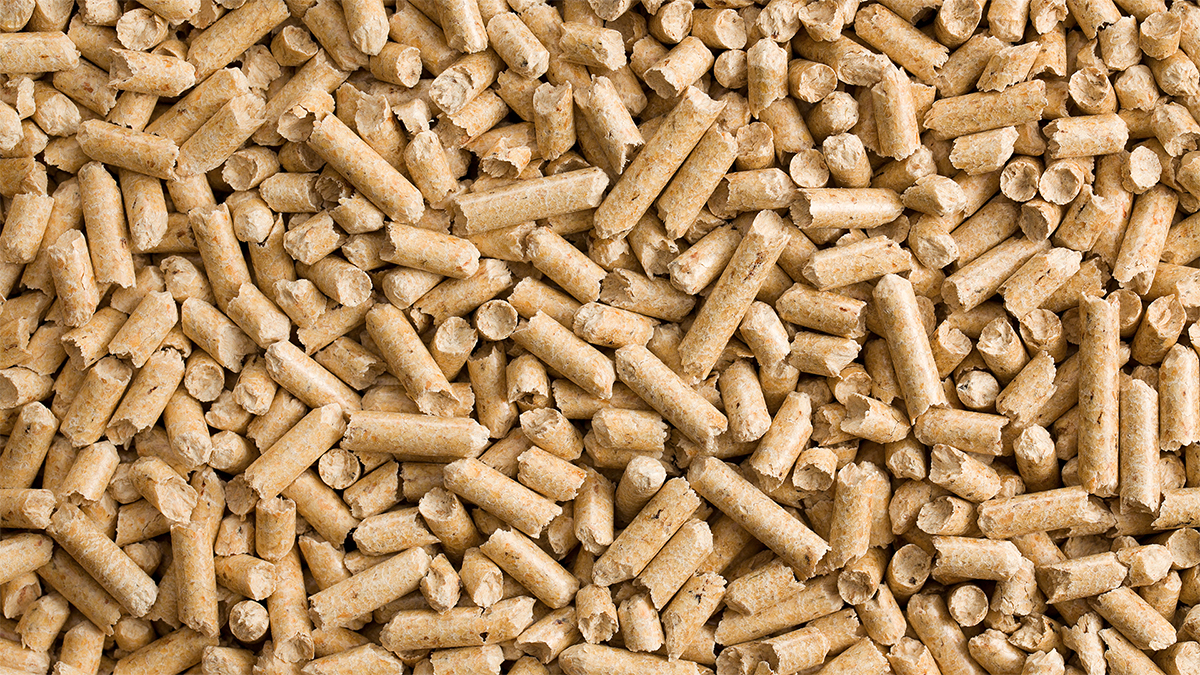 Biocombustibles con mercado de exportación