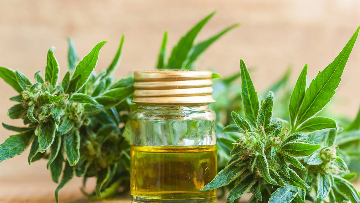 Que pasa en Argentina con el cannabis