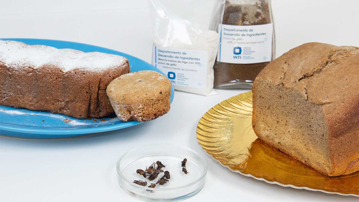 El INTI contra el hambre