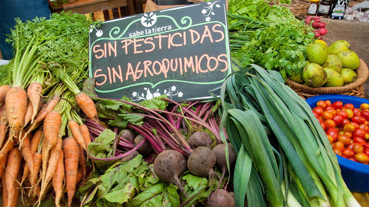 Argentina aseguró la exportación de productos orgánicos a Italia