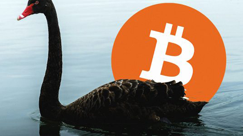 Criptomonedas: se acerca un cisne negro
