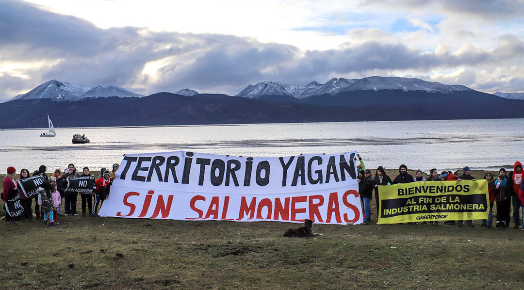 En solo tres años, se pasó de un esquema de incentivos estatales para la instalación de producción de salmón de cultivo en Tierra del Fuego a la prohibición total.