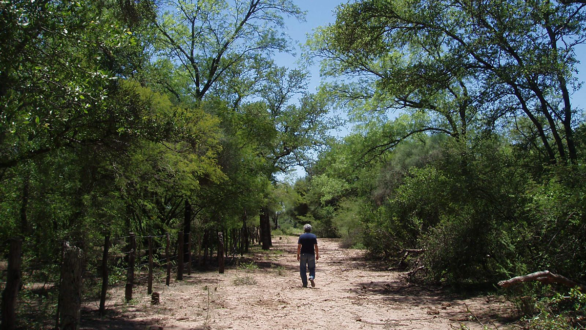 Empresarios, ONGs y el Gobierno analizaron el impacto económico y social de una gestión forestal sustentable