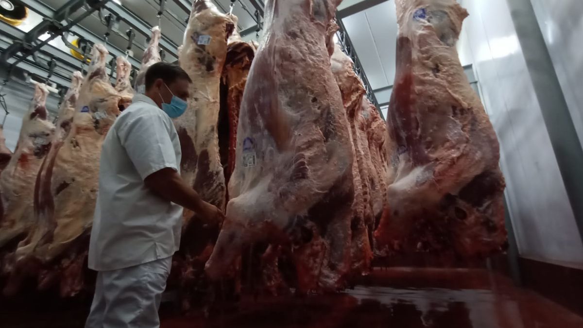 Hay alerta en el comercio mundial de carne por la baja de los precios