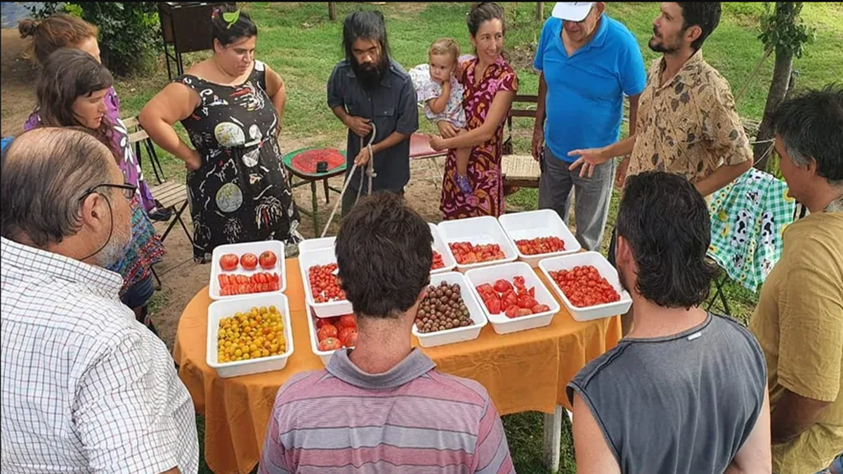 En la Granja La Carretilla, en la provincia de San Luis, se hizo un taller de degustación del sabor de diferentes tipos de tomates criollos Facebook