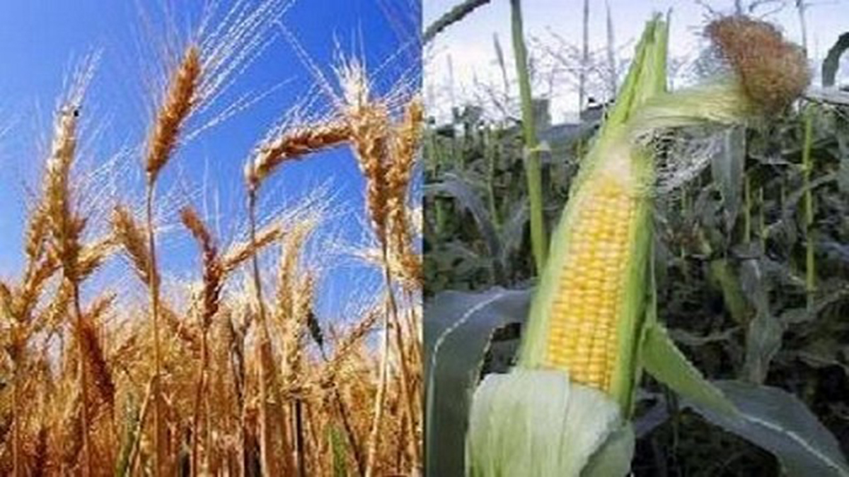 Exportaciones e importaciones en 22/23