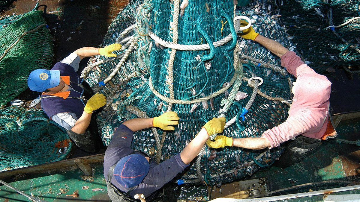 China levanta suspensiones sobre tema Pesca - Crédito Martín Brunella