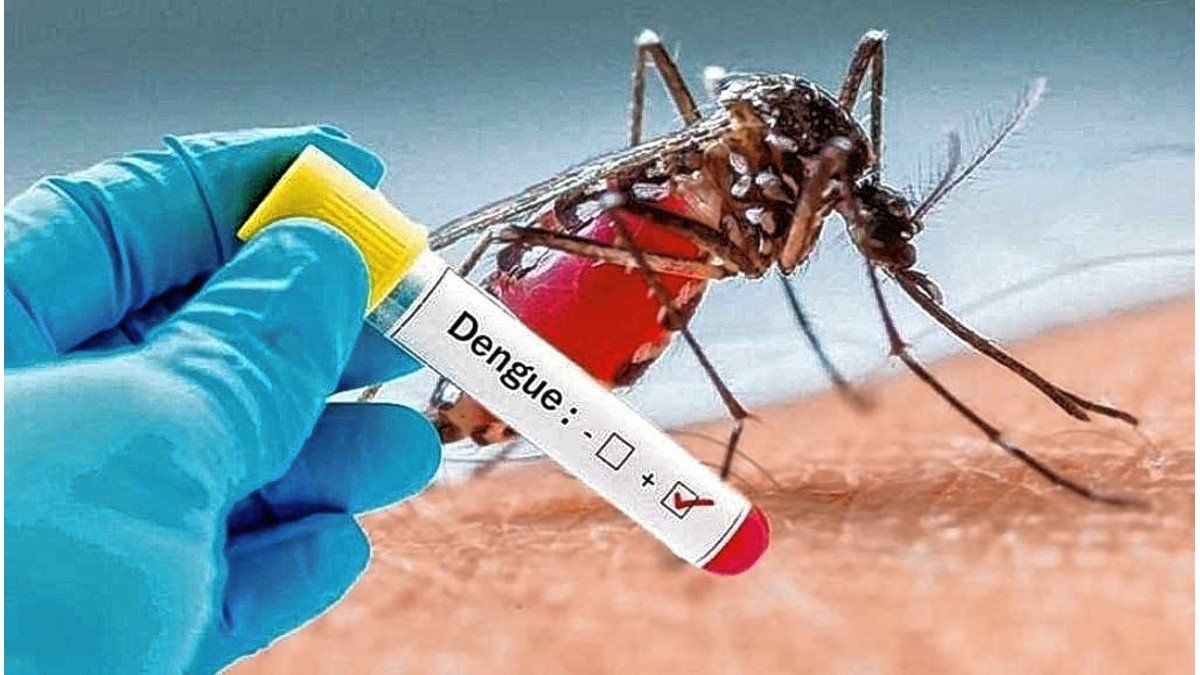 Dengue: confirman que la cepa que circula en Argentina es "la peor de todas"