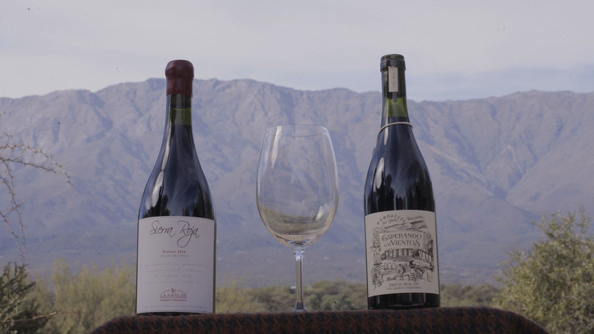 Promueven el Camino del Vino de Córdoba como un Producto de Gran Potencial Turístico