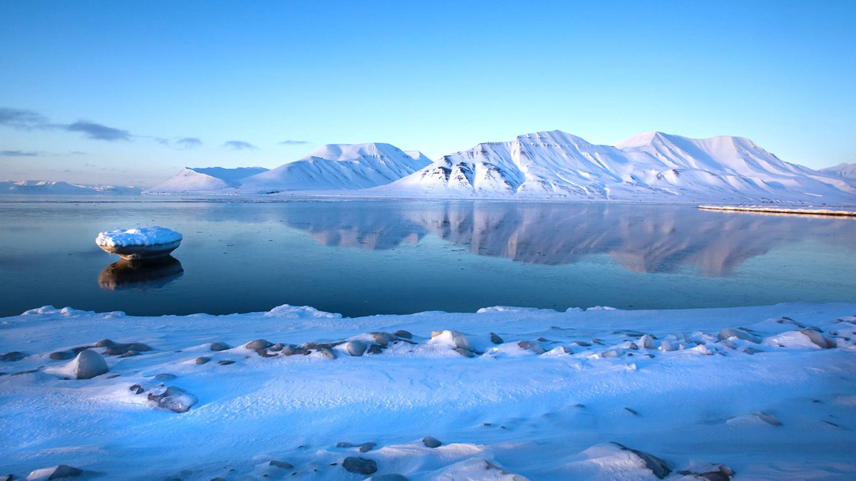 está prohibido por ley morir o mejor dicho ser enterrado allí en Svalbard