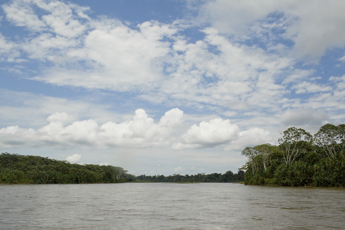 <strong>Parque Nacional del Manu: biodiversidad en estado puro</strong>