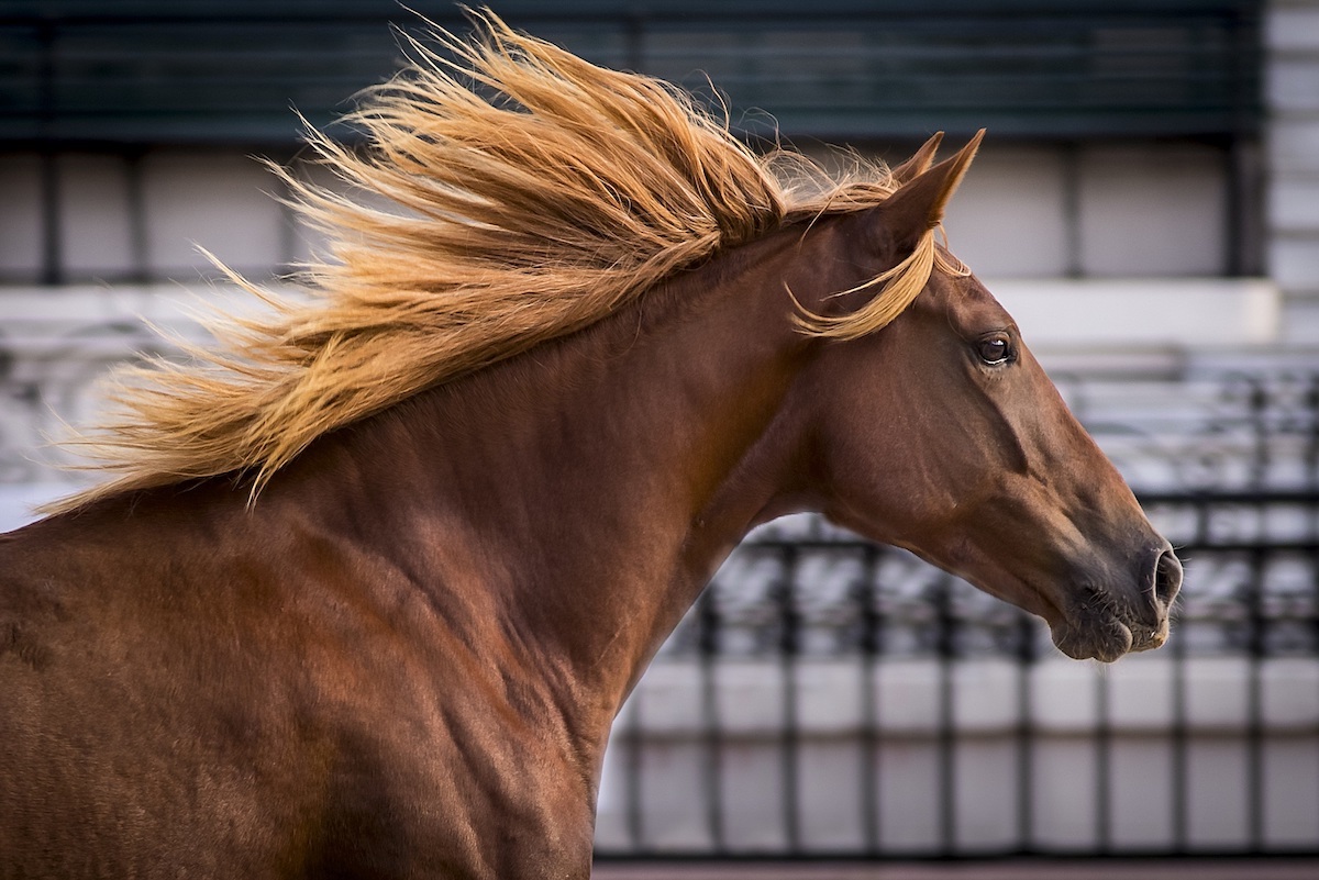 Ximena Barr Fotógrafa