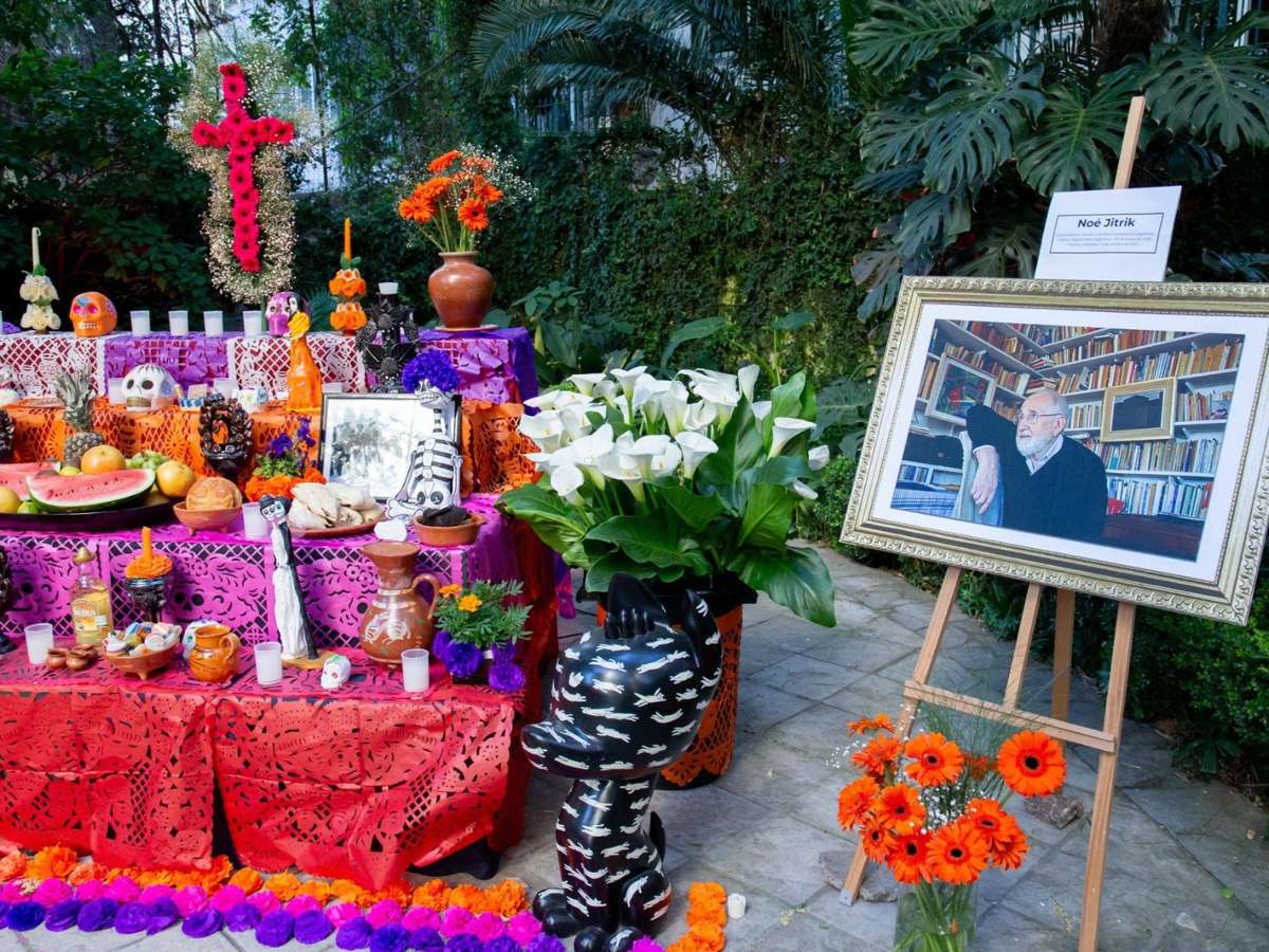 Altar de Día de Muertos con flores, papel picado, velas y ofrendas.<br>